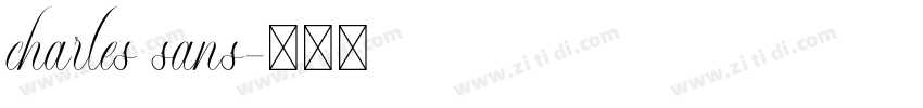 charles sans字体转换